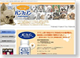 WEB�f�U�C�����с@�y�b�g�p�T�v�������g