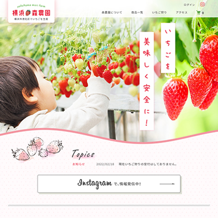 ECサイト（カラーミー）