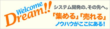 アスコットのシステム開発