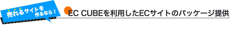 EC CUBEを利用したECサイトのパッケージ提供