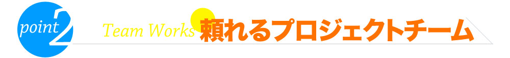 頼れるプロジェクトチーム