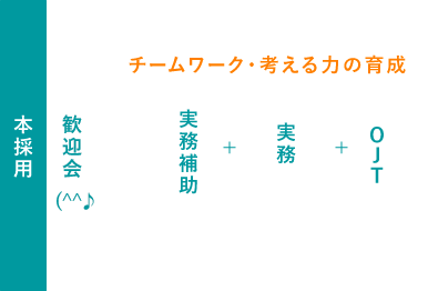本採用 チームワーク・考える力の育成