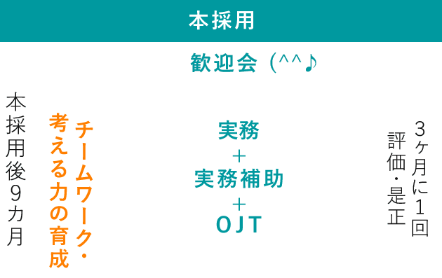 本採用 チームワーク・考える力の育成